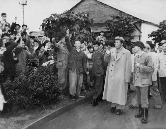 1664585331876964.jpg 圖片4.jpg